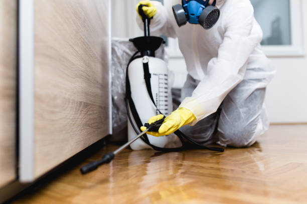 Best Pest Prevention Services  in Wisr, NE