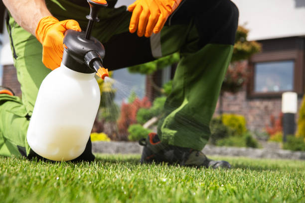 Best Local Pest Control Services  in Wisr, NE