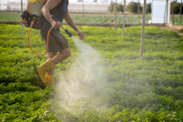Best Pest Removal Services  in Wisr, NE