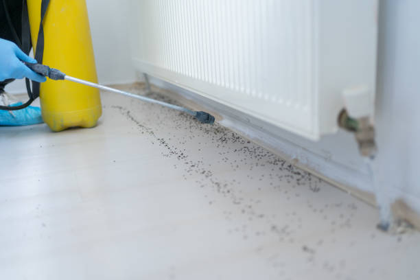 Best Exterminator Services  in Wisr, NE