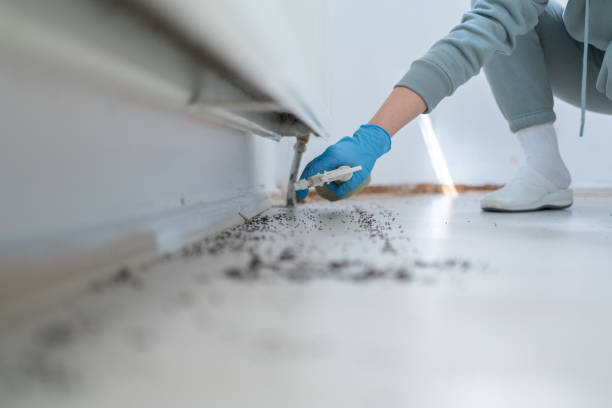 Best Best Pest Control Companies  in Wisr, NE